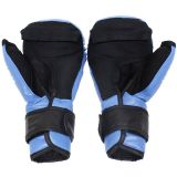 Перчатки Everlast HSIF