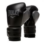 Боксерские перчатки Everlast Powerlock 2